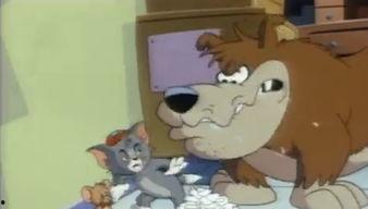 Q版 猫和老鼠 第二季,欢乐闹剧再升级，经典对决笑翻天