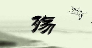 在生命尽头说爱你