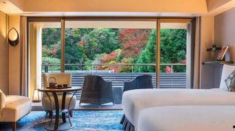 樱花酒店,邂逅浪漫，尽享温馨时光