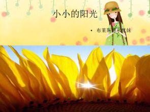 小小阳光,照亮成长之路的温暖力量